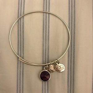 *RETIRED* Alex and Ani February Birthstone Bangle